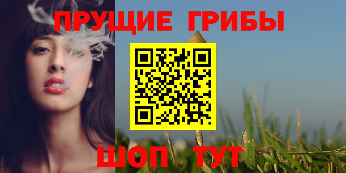 Псилоцибиновые грибы Cubensis  Вход с VPN  Кимры 